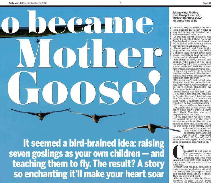  ??  ?? Taking wing: Piloting the Ultralight aircraft, Michael Quetting shows show his geese how to fly