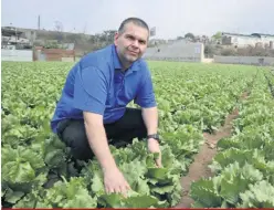  ??  ?? Le producteur maraîcher Pascal Lecault, des Jardins Vegibec, prévoit réduire d’au moins 50% la superficie de ses cultures de légumes.