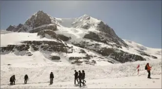  ?? CANADIAN PRESS FILE PHOTO ?? Tourists walk on the Athabasca Glacier part of the Columbia Icefields in Jasper National Park in 2014. A plan to build a bike path along the Icefields Parkway has hit its fair share of bumps in the road.