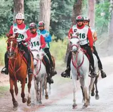  ?? Courtesy: Dubai Equestrian Club ?? UAE riders in action during the Italian leg of the Shaikh Mohammad Bin Rashid Al Maktoum Endurance Cup Festival, at Toscana Endurance Lifestyle last year.