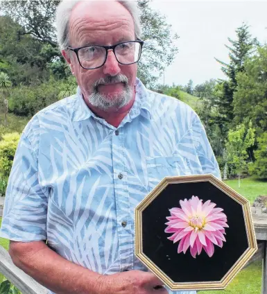  ?? PHOTOS: GILLIAN VINE ?? Framed . . . DHS president Stuart Brown with a dahlia in a frame, a new category at this weekend’s show.