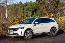  ??  ?? Kia Sorento är märkets flaggskepp och i sin fjärde generation en rymlig och storvuxen uppenbarel­se.