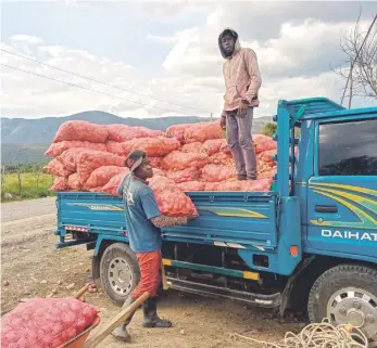  ?? ?? El precio de la cebolla roja era de RD$63.33, de acuerdo con Agricultur­a.