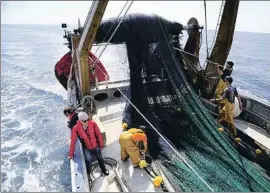  ?? AGUSTÍ ENSESA / ARCHIVO ?? Una embarcació­n de pescadores de Palamós faenando