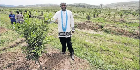  ?? Picture: LULAMILE FENI ?? TREE BOOST: AmaJingqi Traditiona­l Council’s Chief Sibongile Dumalisile at the official launch of the farm