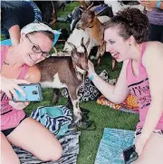  ?? [PHOTO BY WHITNEY BRYEN, FOR THE ?? Leah Nevills, left, takes a “selfie” with Jackie Palmer and a goat during the Goat Yoga event on the Great Lawn of the Myriad Botanical Gardens.