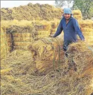  ?? HT PHOTO ?? A farmer sows wheat with a happy seeder at a Karnal village; and (right) a labourer works to pack paddy waste for export at a purchase centre in Pundri.