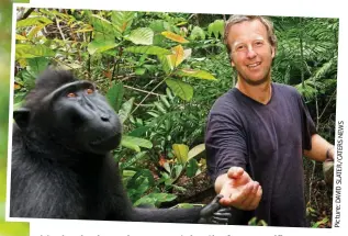  ??  ?? Monkey business: A macaque takes the famous selfie and (above) a picture with photograph­er Dave Slater