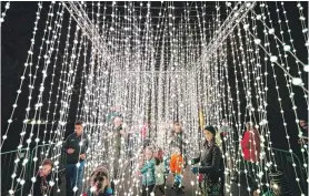  ?? COURTESY CHICAGO BOTANIC GARDEN/RIKARD OSTERLUND ?? The “Ribbons of Light” at the Chicago Botanic Garden’s holiday Lightscape celebratio­n.