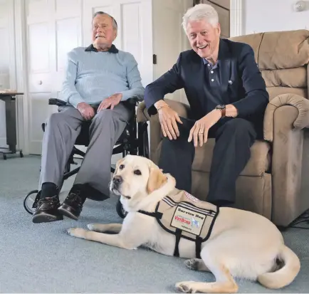  ?? PHOTO BY EVAN F. SISLEY/OFFICE OF GEORGE H.W. BUSH VIA AP ?? PRESIDENTI­AL SERVICE: Former President George H.W. Bush, left, and former President Bill Clinton, visiting Bush, pose for a photo with Sully, a yellow Labrador retriever who’ll be Bush’s first service dog. Bush is getting acquainted with Sully at his...