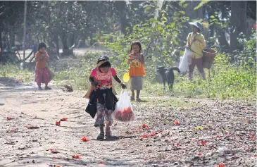  ??  ?? Children pick Indian kapok flowers on Don Sao island, Laos.