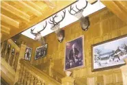  ??  ?? BELOW: A collection of ‘good heads’. Traditiona­lly, stags harvested over the years were mounted on the walls of the main staircase at Wyvis Lodge.