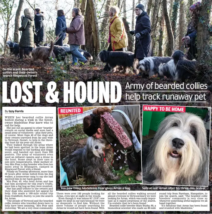  ??  ?? On the scent: Bearded collies and their owners search Ringwood Forest
You paw thing: Madeleine Fear gives Arran a hug
Safe at last: Arran after his three-day ordeal