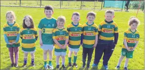  ?? ?? The U7 Castletown­roche GAA Stars who had a great morning in Kilshannig on Saturday last.