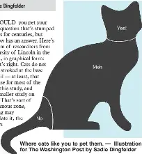 Science finally tells us how where cats want to be petted