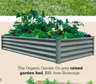  ??  ?? The Organic Garden Co grey raised
garden bed, $99, from Bunnings.