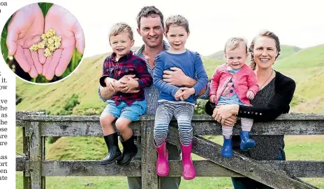  ??  ?? Hamish and Kate Dunlop and their three children George, 4, Sophie, 6, and Annabel, 2. The Dunlops are only the second commercial growers of quinoa, inset, in New Zealand.