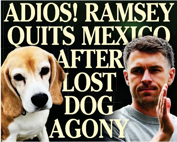  ?? ?? Aaron Ramsey has walked away from Mexico after his beloved dog, Halo, left, went missing. Below, Ramsey in action for Pumas