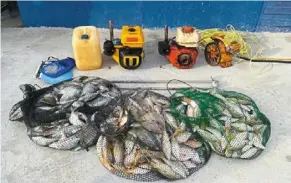  ??  ?? Illegal catch: The fish caught using explosives and other items seized from two men off sabah waters.