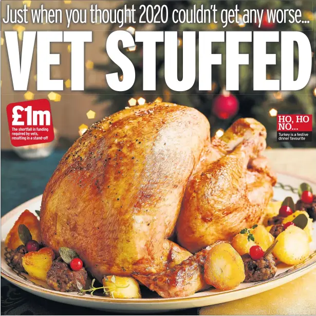  ??  ?? The shortfall in funding required by vets, resulting in a stand-off
HO, HO NO... Turkey is a festive dinner favourite