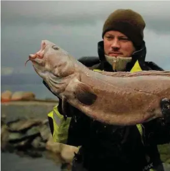  ?? FOTO: PRIVAT ?? Gjermund Daniel Nomeland har fått 100 ulike fiskearter i 2017. Her sammen med en brosme. Alle bildene er hentet fra hans Facebook-profil.