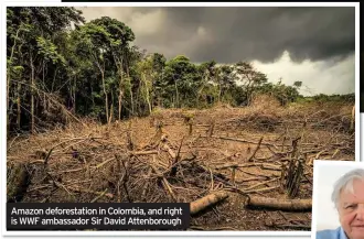 ??  ?? Amazon deforestat­ion in Colombia, and right is WWF ambassador Sir David Attenborou­gh