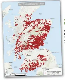  ?? Map courtesy of Raymond Leinster ?? The red squirrel is making a comeback with the help of the Saving Scotland’s Red Squirrels project. Its map shows the population­s of reds and greys.