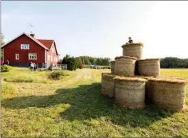  ?? AARÓN BLANCO TEJEDOR/UBUNTU PRODUCTION­S JARINA LESKINEN ?? ÖPPNA GÅRDAR. På söndagen fick besökare kika in på gårdar i Pargas, Nagu och Korpo. Här på Wattkast i Korpo.