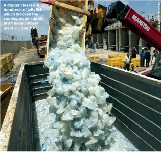  ??  ?? A digger clears out hundreds of jellyfish which blocked the cooling water supply at an Israeli power plant in June 2017