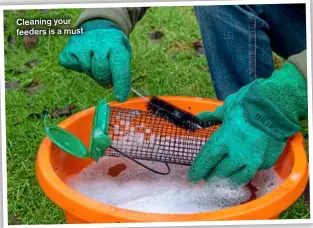  ?? ?? Cleaning your feeders is a must