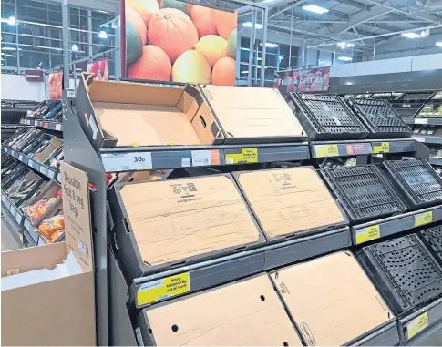  ??  ?? Empty food shelves in a Sainsbury’s store in Bangor, Co Down, amid post-brexit “teething problems”.