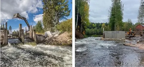  ?? Mikko Nikkinen/ WWF Finland ?? Before and after the destructio­n of a dam on the Hiitolanjo­ki River in Finland.