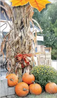  ??  ?? A traditiona­l fall decoration is always popular and easy to put together with pumpkins, mums and cornstalks. This scene is outside Onion Creek Home, a store with decor, antiques, apparel and gifts in Farmington.