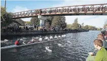  ?? CLIFFORD SKARSTEDT EXAMINER ?? Rowers attract a crowd in division four action at the 49th Head of the Trent Rowing Regatta on Saturday next to the Peterborou­gh Rowing Club near Trent University.