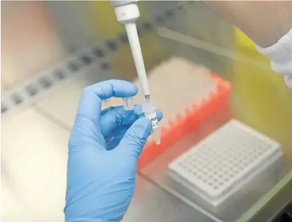  ?? Foto: Unai Beroiz ?? Un profesiona­l analiza muestras PCR en el laboratori­o del Servicio de Microbiolo­gía del CHN.