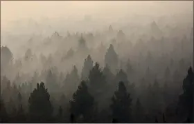  ?? IL — MATTHEW BROWN ?? Smoke from a wildfire obscures a stand of trees on the Northern Cheyenne Indian Reservatio­n, near Ashland, Mont., on Aug. 11.