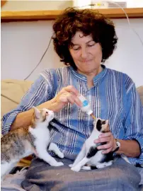 ?? AFP ?? Tova Saul feeds stray cats at her home in Jerusalem’s Old City. —