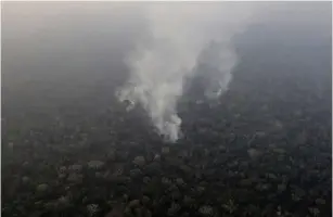  ?? (Ueslei Marcelino/Reuters) ?? SMOKE BILLOWS during a fire in an area of the Amazon rain forest near Porto Velho, Brazil.