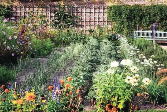  ??  ?? Interspers­e vegetables with scented herbs and edible flowers.