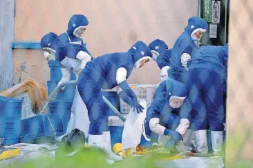  ?? [AP PHOTO] ?? Workers at a seafood processing plant — where North Korean workers are distinguis­hed from the Chinese workers by blue overalls — wash up after work in the city of Hunchun, in northeaste­rn China’s Jilin province.