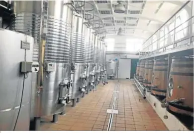 ??  ?? Los depósitos de la Estación Enológica para la experiment­ación con vinos tintos llevan casi un década sin uso.