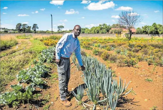  ?? Photos: Delwyn Verasamy ?? Abundance: Tim Nectar Farms is a training academy headed up by agroecolog­ist Tim Abaa (above and below left). People learn how to plant vegetables, the planting seasons of different crops and the value of growing their own food.