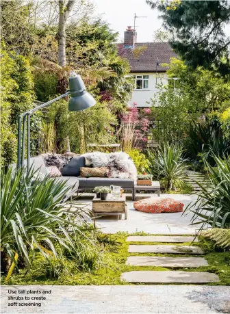  ?? ?? Use tall plants and shrubs to create soft screening
Keep woodwork and flooring light in colour to let the pattern shine