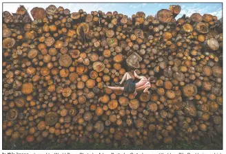  ?? (Getty Images/Adam Pretty) ?? In this image released by World Press Photo by Adam Pretty for Getty Images, titled Log Pile Bouldering, which won first prize in the Sports Singles category, shows Georg climbs a log pile while training for bouldering in Kochel am See, Bavaria, Germany, on Sept. 15.