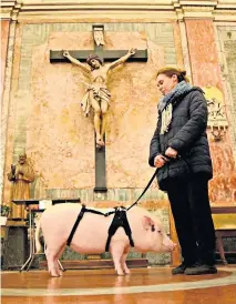  ??  ?? A member of the congregati­on and her pig attend a blessing at a mass for St Anthony Abbot, the patron saint of pets, at Sant’ Eusebio church in Rome.