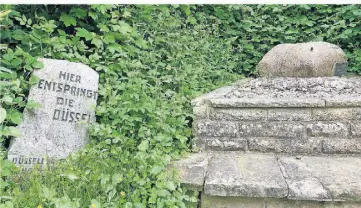  ?? FOTO: SCHRÖDER ?? Den Findling stifteten die Düsseldorf­er Jonges am Düssel-Quellort bei Wülfrath.