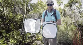  ?? JOSE A. IGLESIAS jiglesias@elnuevoher­ald.com ?? Taylor Hunt, a biologist for UF’s Miami Blue butterfly research project, holds two insect cages with 60 butterflie­s that were released earlier this month at Long Key State Park.