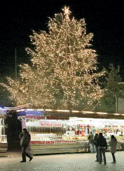  ??  ?? Luci sulla città Il tradiziona­le albero di Natale di piazza Bra, la cui decorazion­e è sponsorizz­ata da Agsm. Quest’anno sarà l’ultimo anno di contratto per la sponsorizz­azione Bauli all’albero di Corso Porta Nuova