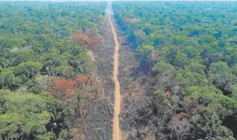  ?? // AFP ?? Un área deforestad­a y quemada en la región del Amazonas, en Brasil, uno de los países más afectados