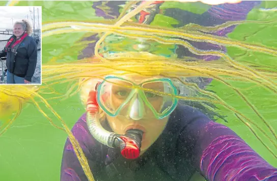  ??  ?? ● Orkney-based enivronmen­tal analyst Naomi Dempsey goes snorkellin­g for scallops, and above left in her role with Cooke Aquacultur­e